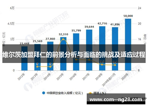 维尔茨加盟拜仁的前景分析与面临的挑战及适应过程