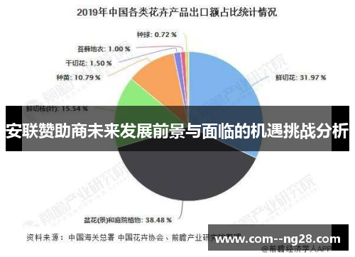 安联赞助商未来发展前景与面临的机遇挑战分析 安联赞助商未来发展前景与面临的机遇挑战分析