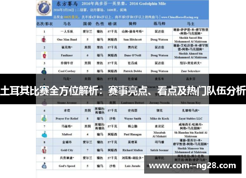 土耳其比赛全方位解析：赛事亮点、看点及热门队伍分析
