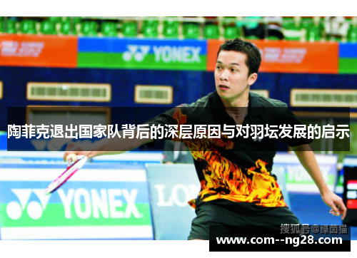 陶菲克退出国家队背后的深层原因与对羽坛发展的启示